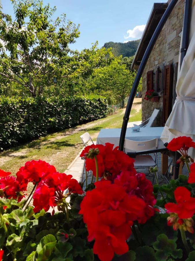 La Sala Vecchia - Lovely Tuscan Holiday House Badia Prataglia, Casentino Valley Chiusi della Verna Exteriér fotografie